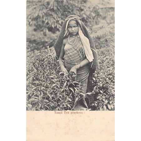 Rare collectable postcards of Sri Lanka (Ceylon). Vintage Postcards of Sri Lanka (Ceylon)