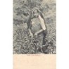 Rare collectable postcards of Sri Lanka (Ceylon). Vintage Postcards of Sri Lanka (Ceylon)