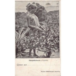 Rare collectable postcards of Sri Lanka (Ceylon). Vintage Postcards of Sri Lanka (Ceylon)