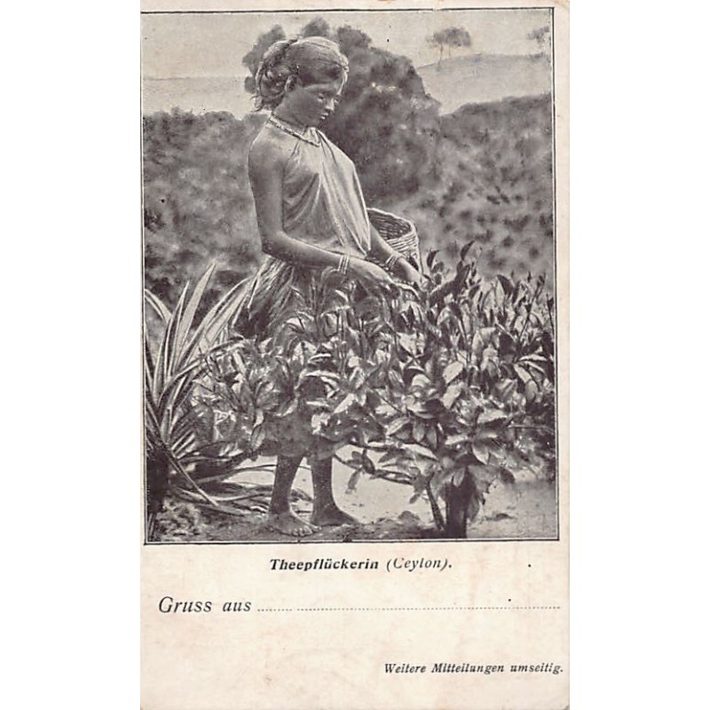 Rare collectable postcards of Sri Lanka (Ceylon). Vintage Postcards of Sri Lanka (Ceylon)