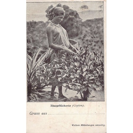Rare collectable postcards of Sri Lanka (Ceylon). Vintage Postcards of Sri Lanka (Ceylon)