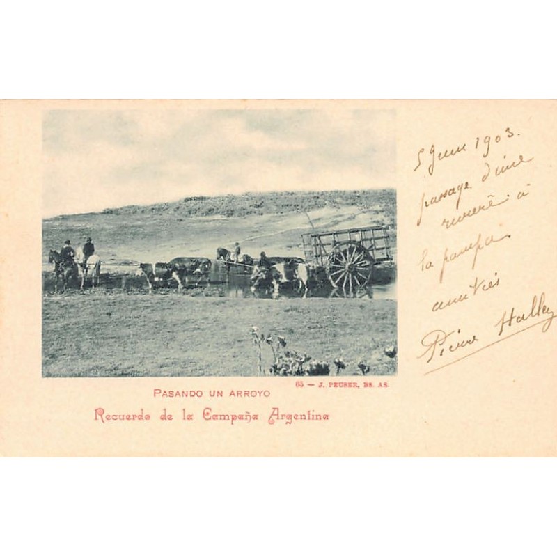 Rare collectable postcards of Argentina. Vintage Postcards of Argentina