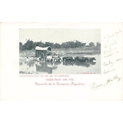 Rare collectable postcards of Argentina. Vintage Postcards of Argentina