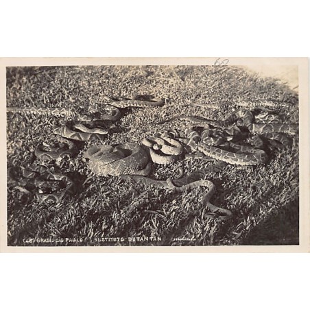 Rare collectable postcards of Brazil. Vintage Postcards of Brazil