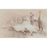Rare collectable postcards of Canada. Vintage Postcards of Canada