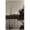 Rare collectable postcards of Chile. Vintage Postcards of Chile