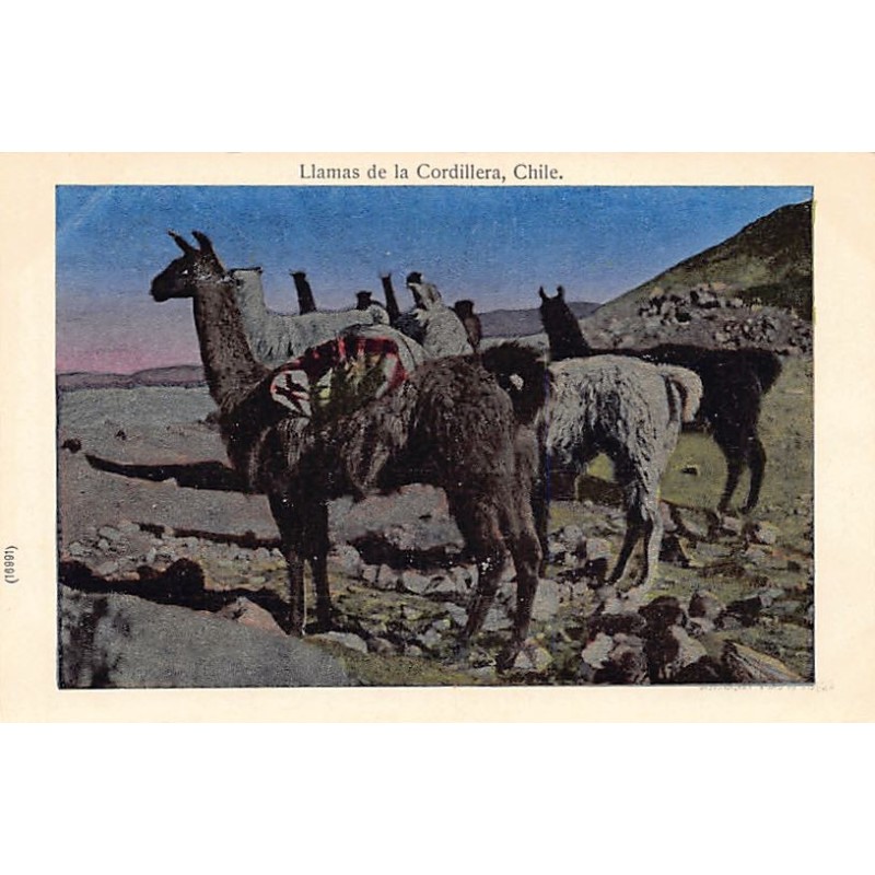 Rare collectable postcards of Chile. Vintage Postcards of Chile