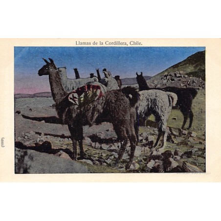 Rare collectable postcards of Chile. Vintage Postcards of Chile