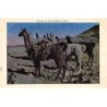 Rare collectable postcards of Chile. Vintage Postcards of Chile