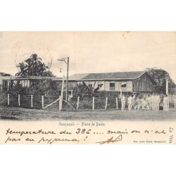 Rare collectable postcards of Ecuador. Vintage Postcards of Ecuador