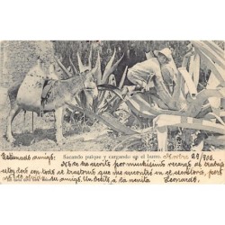 Rare collectable postcards of Mexico. Vintage Postcards of Mexico