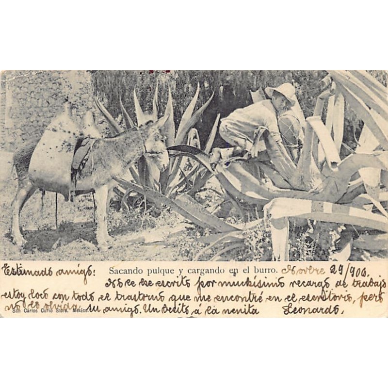 Rare collectable postcards of Mexico. Vintage Postcards of Mexico