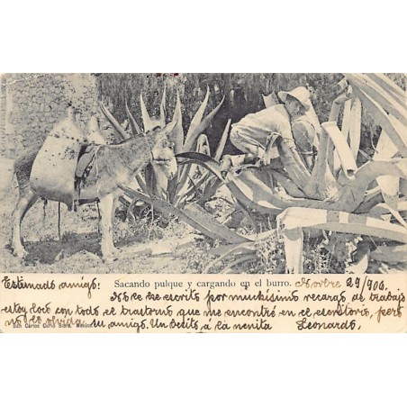 Rare collectable postcards of Mexico. Vintage Postcards of Mexico