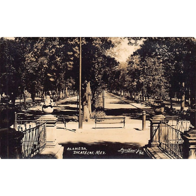 Rare collectable postcards of Mexico. Vintage Postcards of Mexico