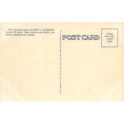 Rare collectable postcards of United States. Vintage Postcards of United States