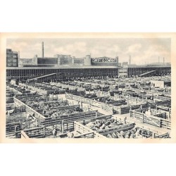 Rare collectable postcards of United States. Vintage Postcards of United States