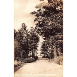 Rare collectable postcards of United States. Vintage Postcards of United States