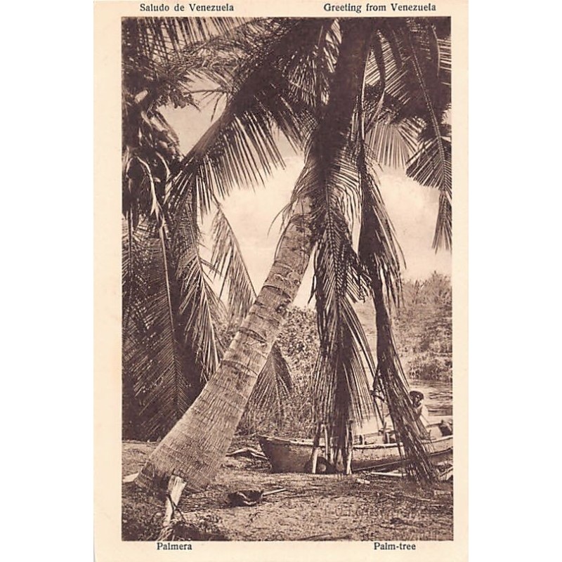 Rare collectable postcards of Venezuela. Vintage Postcards of Venezuela