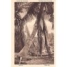 Rare collectable postcards of Venezuela. Vintage Postcards of Venezuela