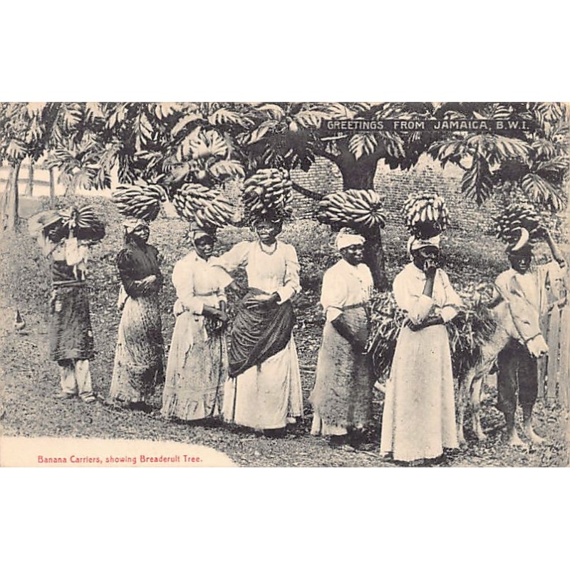 Rare collectable postcards of Jamaica. Vintage Postcards of Jamaica