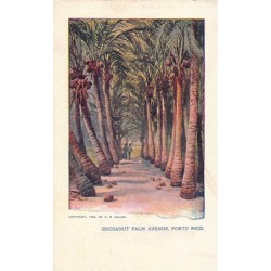 Rare collectable postcards of Puerto Rico. Vintage Postcards of Puerto Rico