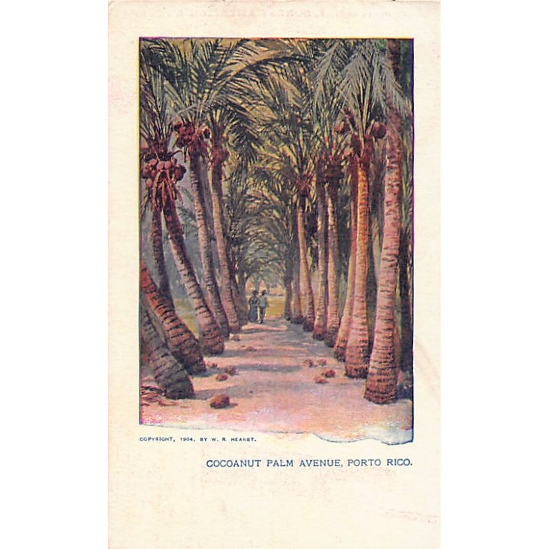 Rare collectable postcards of Puerto Rico. Vintage Postcards of Puerto Rico