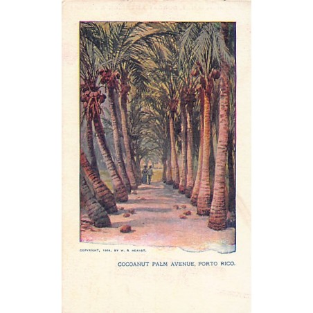 Rare collectable postcards of Puerto Rico. Vintage Postcards of Puerto Rico
