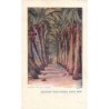 Rare collectable postcards of Puerto Rico. Vintage Postcards of Puerto Rico