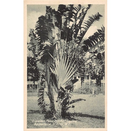 Rare collectable postcards of Saint Kitts and Nevis. Vintage Postcards of Saint Kitts and Nevis