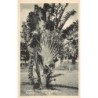 Rare collectable postcards of Saint Kitts and Nevis. Vintage Postcards of Saint Kitts and Nevis