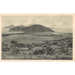 Rare collectable postcards of Saint Kitts and Nevis. Vintage Postcards of Saint Kitts and Nevis