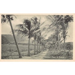 Rare collectable postcards of Saint Kitts and Nevis. Vintage Postcards of Saint Kitts and Nevis