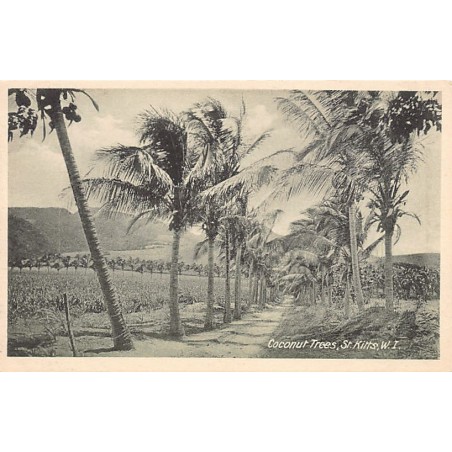 Rare collectable postcards of Saint Kitts and Nevis. Vintage Postcards of Saint Kitts and Nevis
