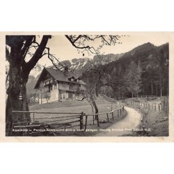 Rare collectable postcards of Austria. Vintage Postcards of Austria