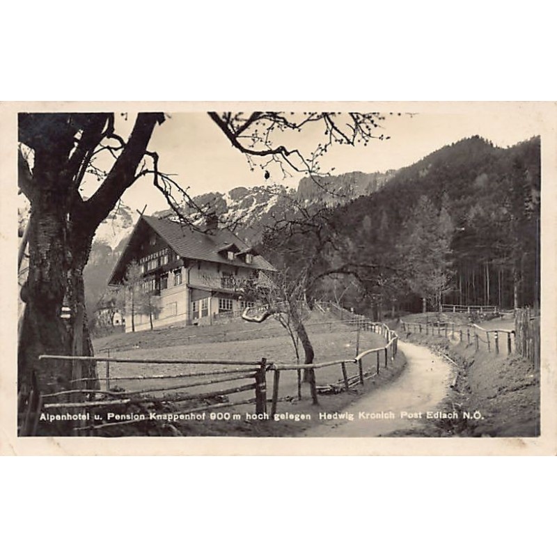Rare collectable postcards of Austria. Vintage Postcards of Austria