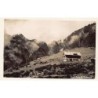 Rare collectable postcards of Austria. Vintage Postcards of Austria