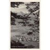 Rare collectable postcards of Austria. Vintage Postcards of Austria