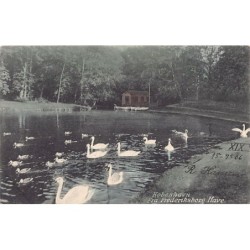 Rare collectable postcards of Denmark. Vintage Postcards of Denmark