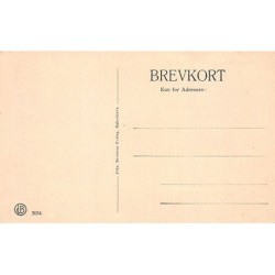 Rare collectable postcards of Denmark. Vintage Postcards of Denmark