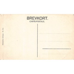 Rare collectable postcards of Denmark. Vintage Postcards of Denmark