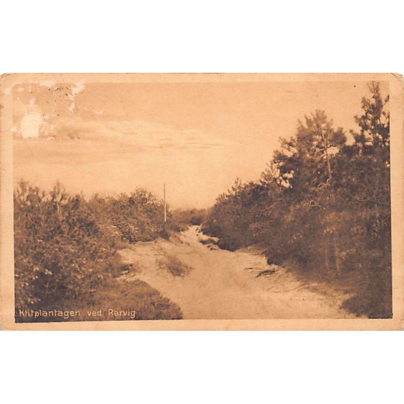 Rare collectable postcards of Denmark. Vintage Postcards of Denmark