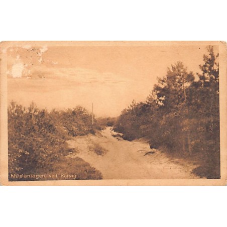 Rare collectable postcards of Denmark. Vintage Postcards of Denmark