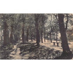 Rare collectable postcards of Denmark. Vintage Postcards of Denmark