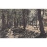 Rare collectable postcards of Denmark. Vintage Postcards of Denmark