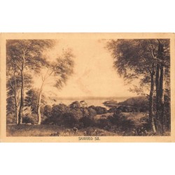 Rare collectable postcards of Denmark. Vintage Postcards of Denmark
