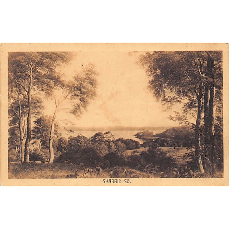 Rare collectable postcards of Denmark. Vintage Postcards of Denmark