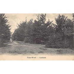 Rare collectable postcards of Netherlands. Vintage Postcards of Netherlands