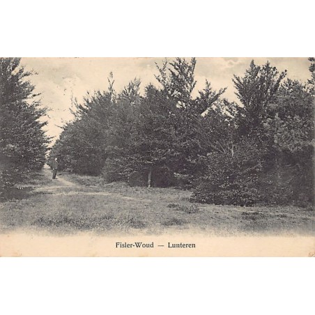 Rare collectable postcards of Netherlands. Vintage Postcards of Netherlands