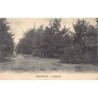 Rare collectable postcards of Netherlands. Vintage Postcards of Netherlands