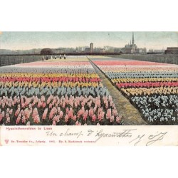 Rare collectable postcards of Netherlands. Vintage Postcards of Netherlands